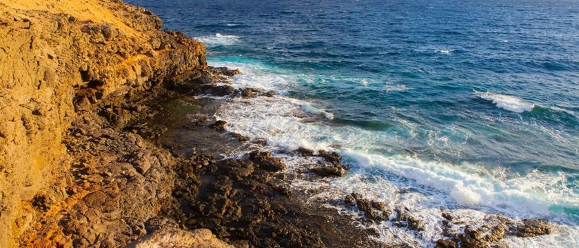 Costa De Antigua Macro 2