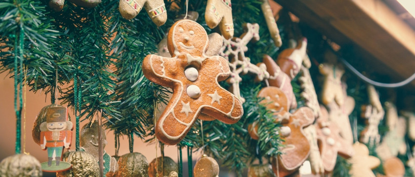 Lanzarote Christmas Blog Macro 1