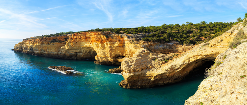 Praia Da Rocha Macro 1