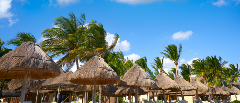 Playa Del Las Americas Macro 2