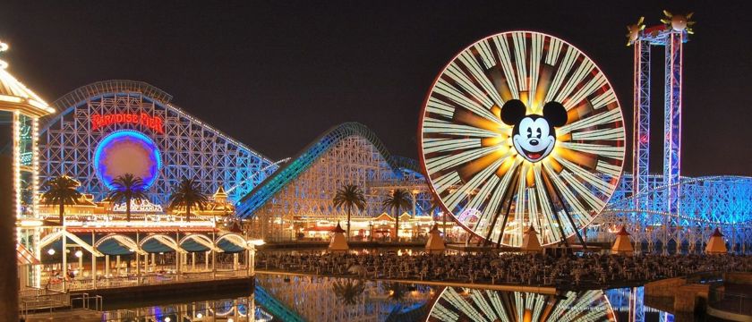 Disneyland California Macro 2