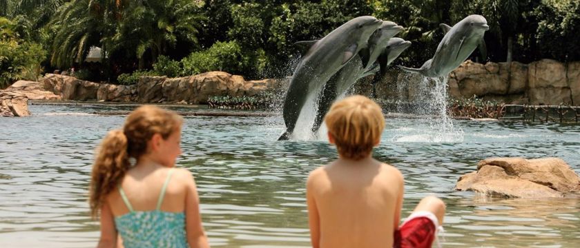 Seaworld Macro 1