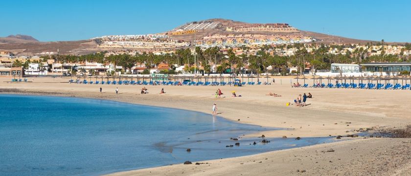 Caleta De Fuste Macro 2