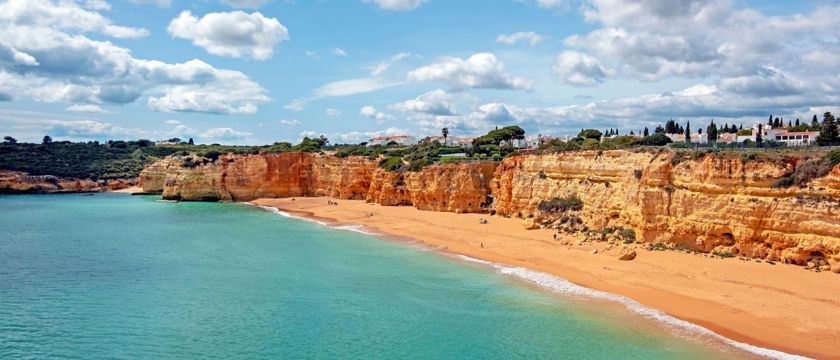 Armacao De Pera Macro 2