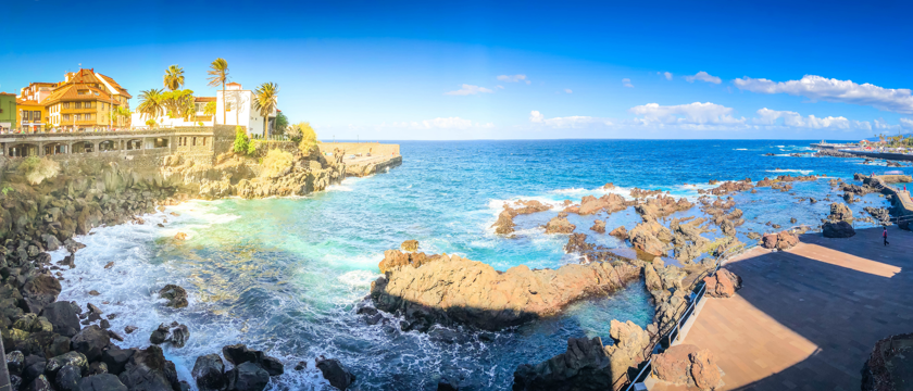 Puerto De La Cruz Macro 1