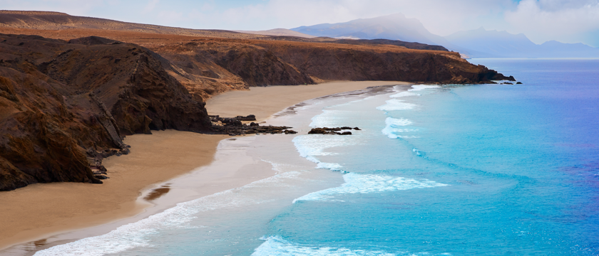 Fuerteventura Macro 2