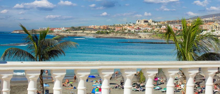 Playa Del Las Americas Macro 1