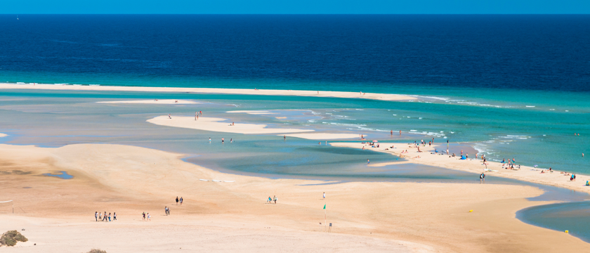 Fuerteventura Macro 1