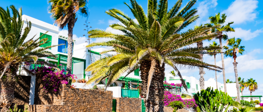 Costa Teguise Macro 2