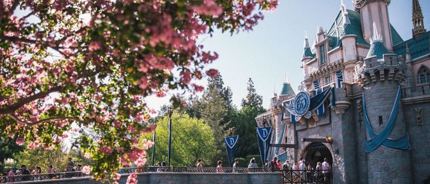 Disneyland California Macro 1