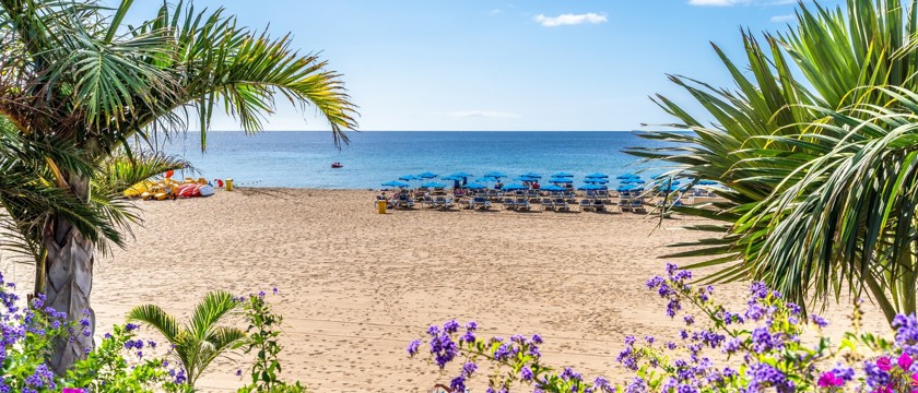 Puerto Del Carmen Macro 1