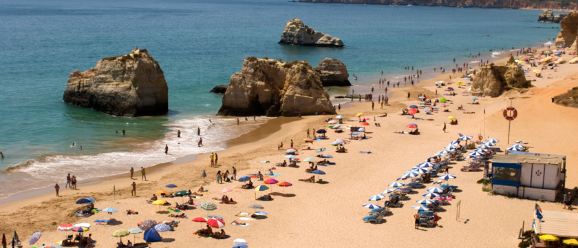 Praia Da Rocha Macro 2