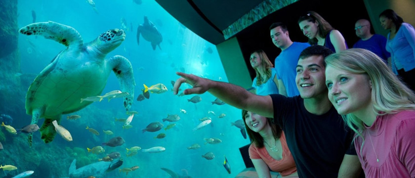 Seaworld Macro 4
