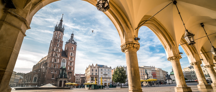 Krakow Macro Image 2