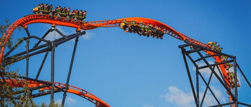 Busch Gardens Macro 2